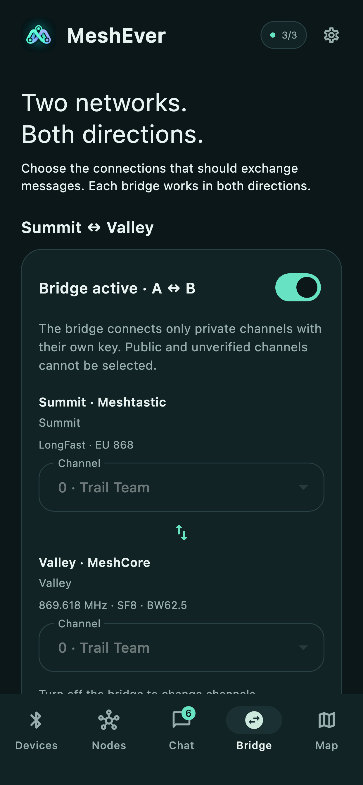 MeshEver bridge view showing connections between radios